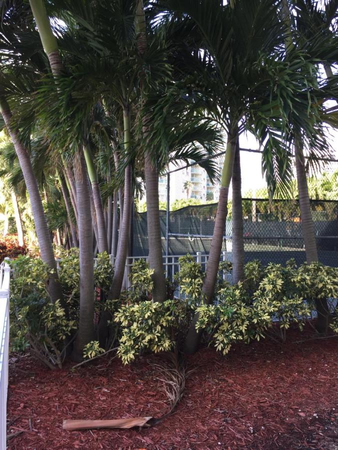 Disfruta Sunny Isles Ocean 1206 Str-02816 Apartment Miami Beach Luaran gambar